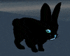 Black Rabbit Animated