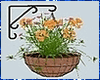 Hanging Flowers