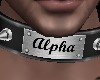 Alpha Halsband