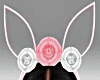 Easter Pink Bundle