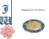 JW Jewish Dinner Plate