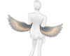 ANGEL WINGS