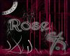 Rose Wall Skulls