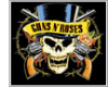 GUNS-ROSES