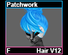 Patchwork Hair F V12