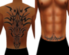 Tribal Belly And Back