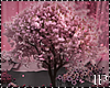 Spring Romantic Tree