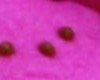 peeps