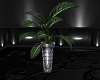 Potted Plant IV