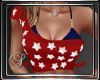 (SL) 4th of July Top