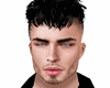Realistic Head