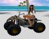 Beach Cycle _CAMOPHAGE