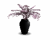 pink& black vase & plant