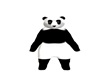 D* MR< PANDA