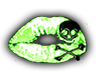 Skully~Kisses Neon Green