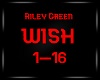Riley Green Wish Never