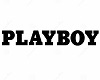 Head Sign "Play boy"