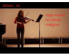sega mozart luc donnat