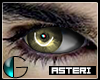 |IGI| Asteri Eyes v.4 R
