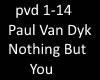 PaulVanDyk-NothingButYou