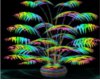 Rainbow Palm Tree