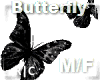 R|C Black Butterfly M/F
