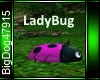 [BD]LadyBug