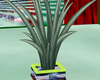 green palm plant