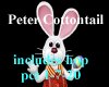 Peter CottonTail