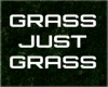 GRASS RUG