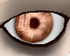 Copper Eyes (M)