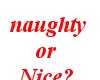 naughty/nice