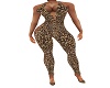 Leopard Print Body suit