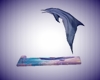 Funny Dolphin ReR