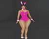 Pink Bunny Nova