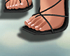 Tina Heels (R)