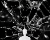 Shattered glass bg