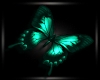 [SS] Green Butterfly