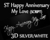 ST W Happy Anniverary 3D