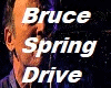 Bruce Spring - Driv