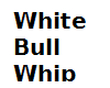 *S* White Bullwhip