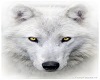 White Wolf Badge