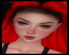 Denise Head
