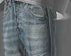 Skinny Raid