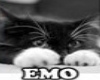 Emo Cat