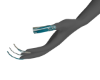 sea nails