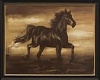 horse rug 2