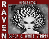 HEDGEHOG BLACK & WHITE