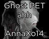 DJ PET Ghost+Sound
