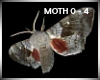 [LD]DJ Light  Epic Moths
